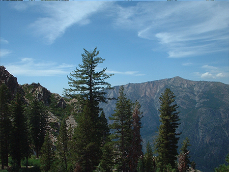 Scene Near Bear Valley 2004