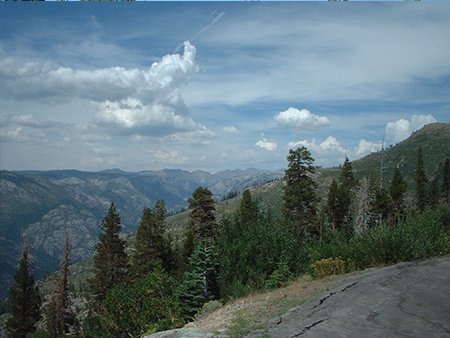 Scene Near Bear Valley 2004